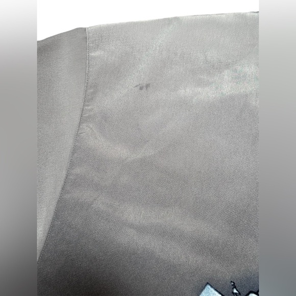 Vintage Y2K Hot Rod, Flames, & Tiger Short Sleeve Button Up Men’s 2XL Streetwear - Picture 7 of 7